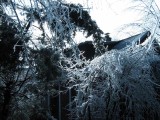Thumbnail of IMG_0536.JPG