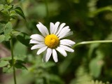 Thumbnail of P1040157.jpg